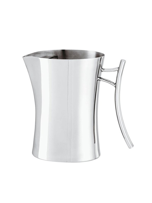Water Pitcher With Ice Guard