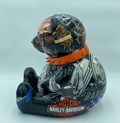 Harley Bear