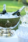 Champagne Coupe | 39cm