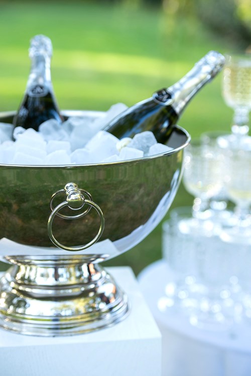 Champagne Coupe | 39cm