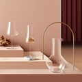 Beak Clear Wine Decanter