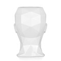 Vase Tete Femme a Facettes