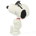 VCD 70’s Peanuts Sunglasses Snoopy 1971 version