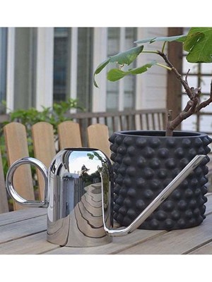 Watering Can Silver